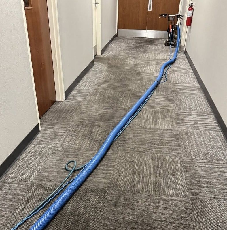 Office hallway carpet tiles with a dark traffic lane down the middle and Mark's cleaning hose laid along it
