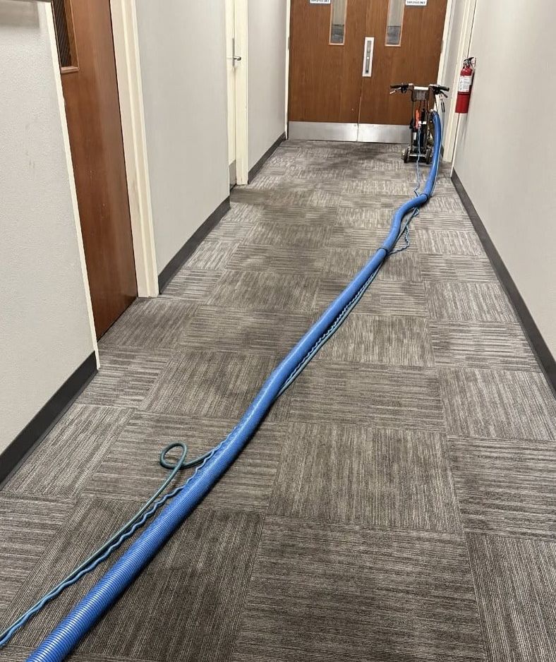 Office hallway carpet tiles with a dark traffic lane down the middle and Mark's cleaning hose laid along it