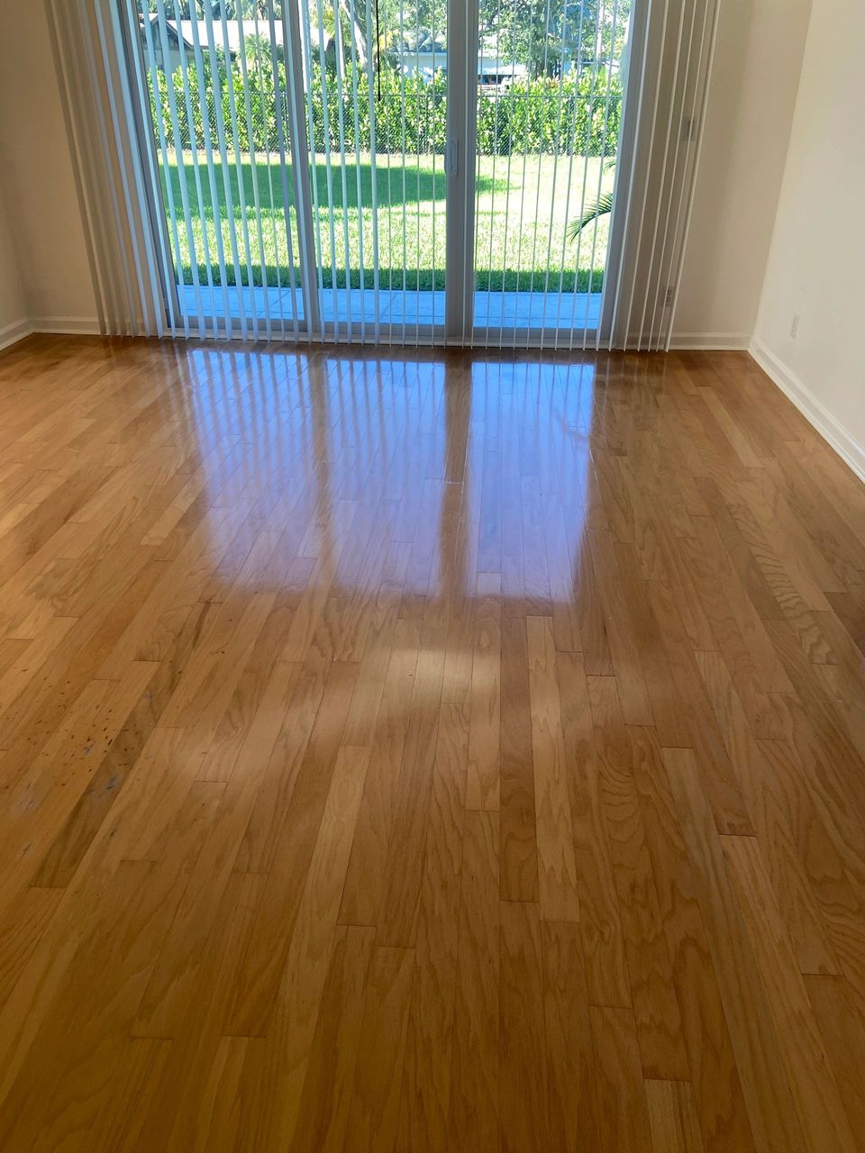 Oak hardwood floor gleaming in the afternoon sun after Mark's wash and buff