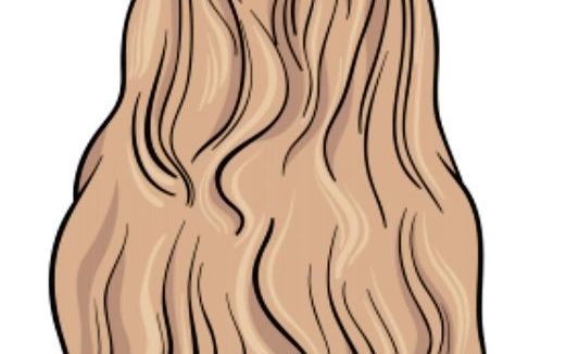 Long-haired dog resting